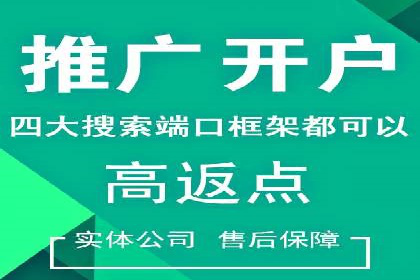 解析SEM推广代运营公司的成功案例及效果